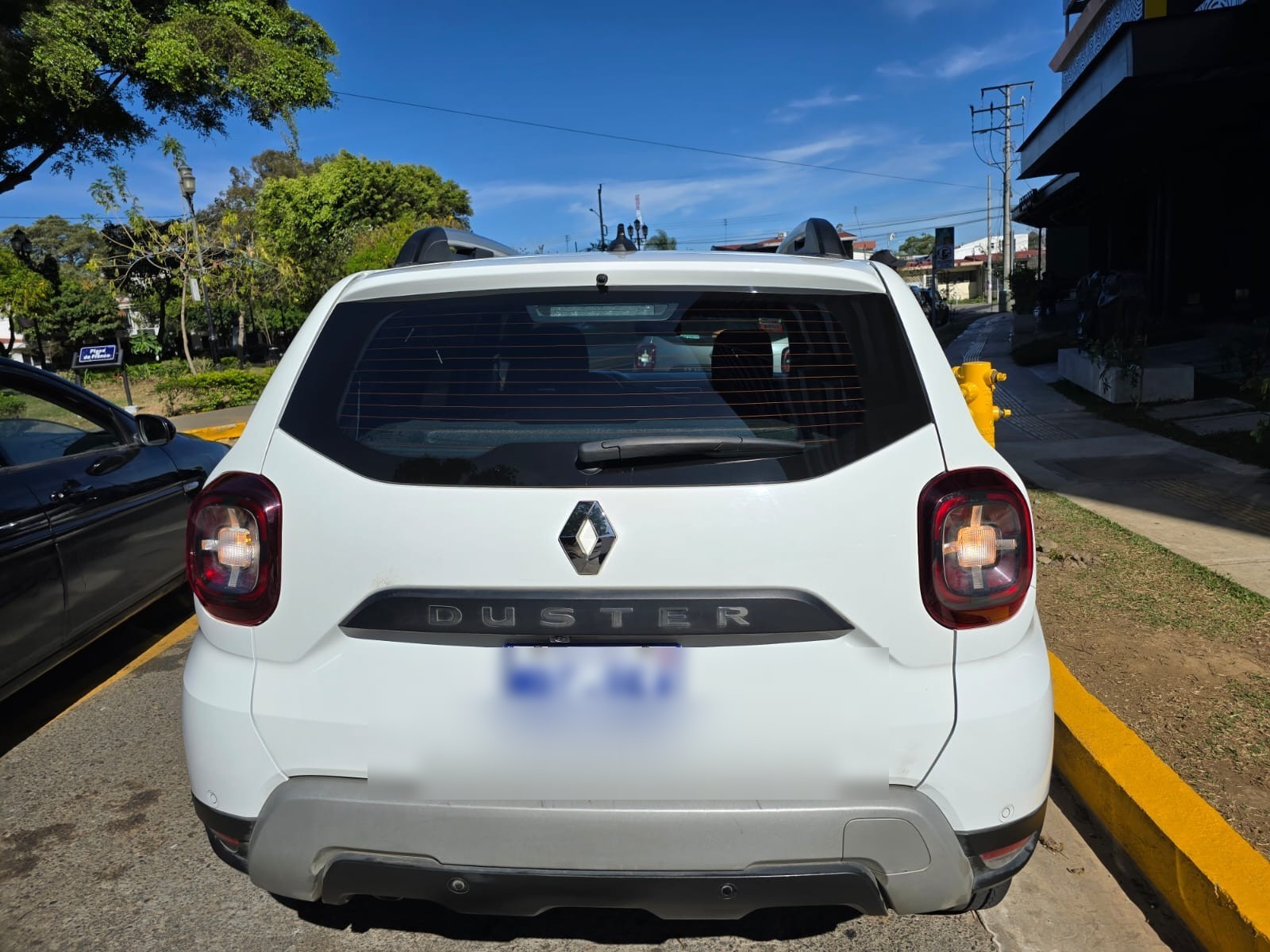 Renault Duster detail